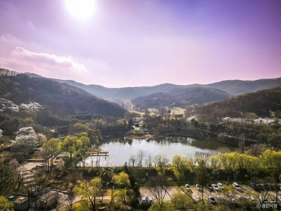 가실벚꽃길