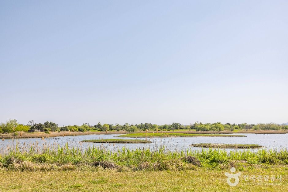 thumbnail-낙동강하구에코센터-30