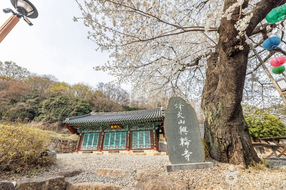 순천_흥륜사(순천) (4)