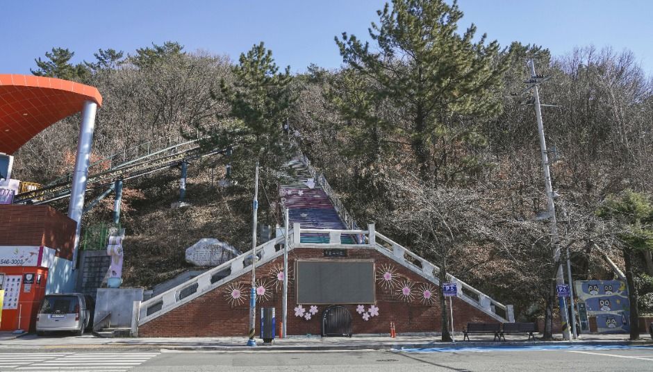 제황산공원