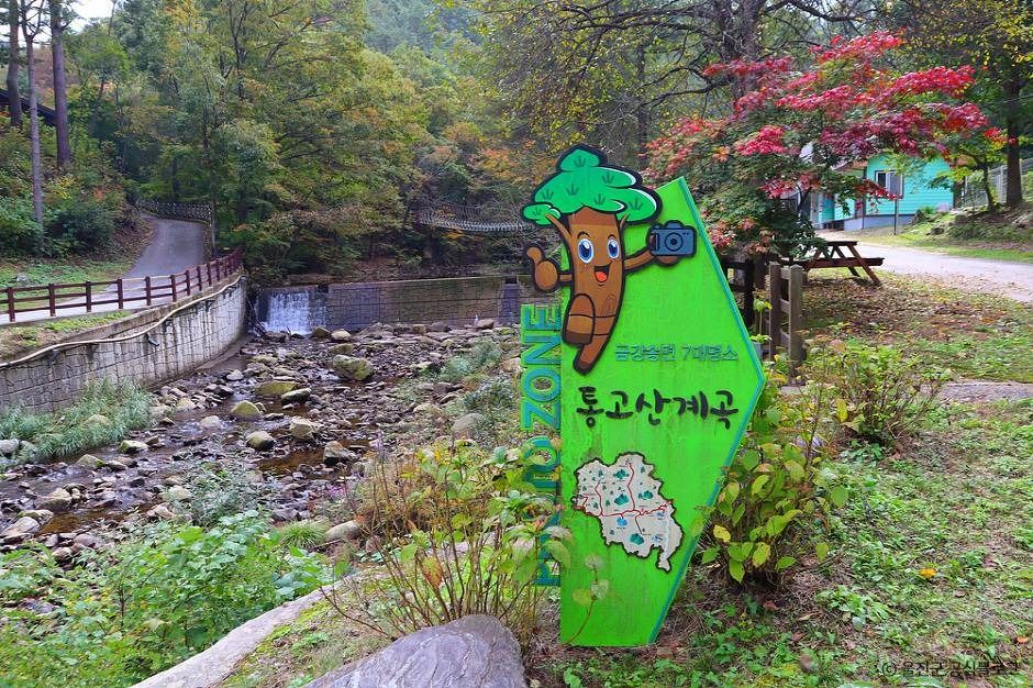 국립 통고산자연휴양림