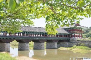 경주_경주 교촌마을 (4)