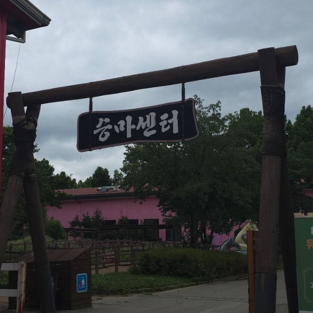 안성_안성팜랜드 승마센터 (4)