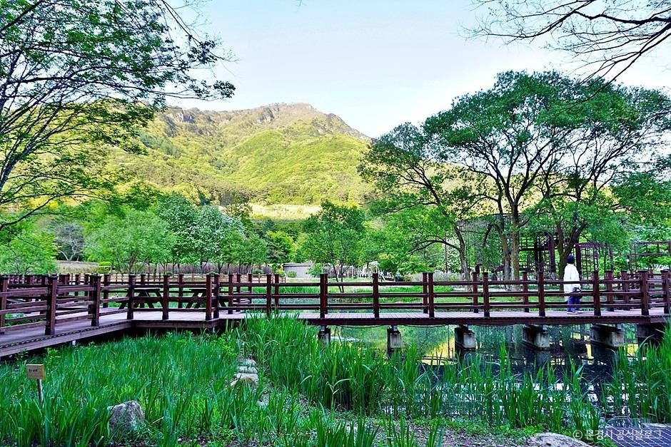 thumbnail-문경생태미로공원-10