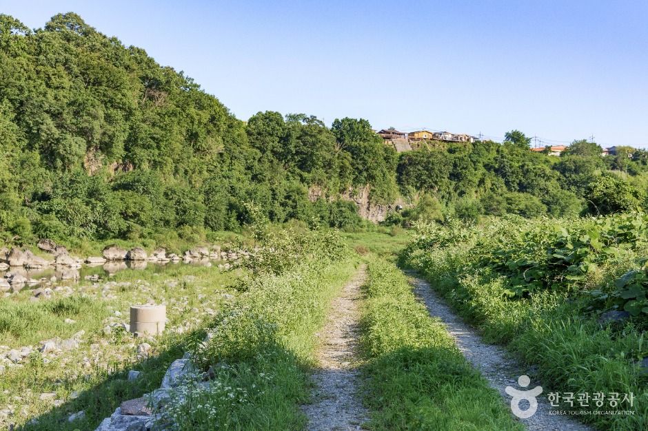 차탄천 주상절리 (한탄강 유네스코 세계지질공원)