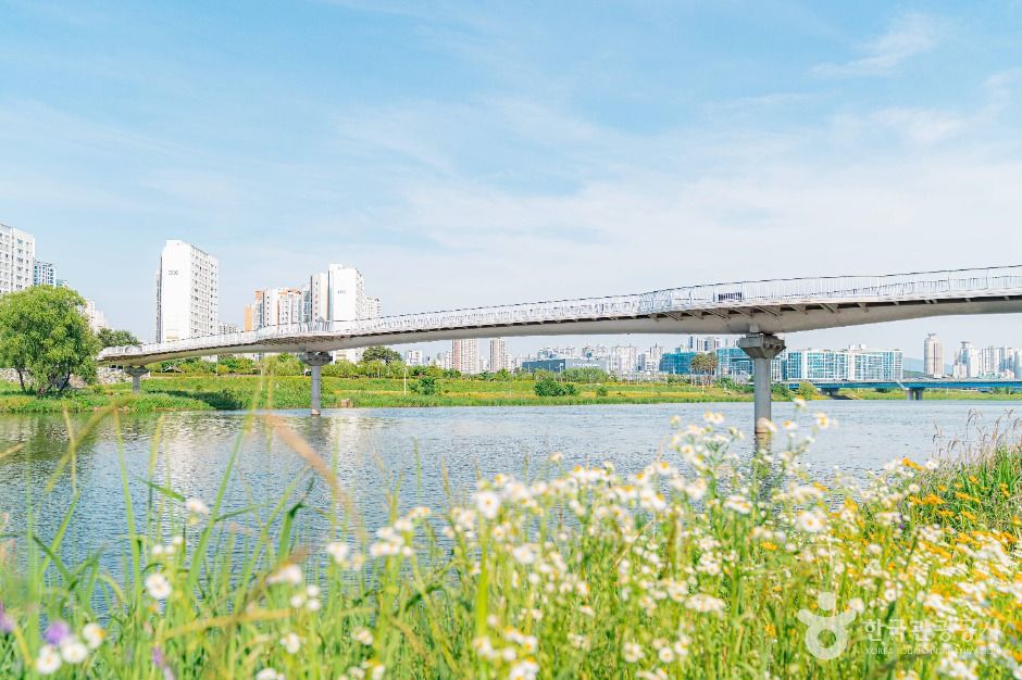 왕숙천시민공원