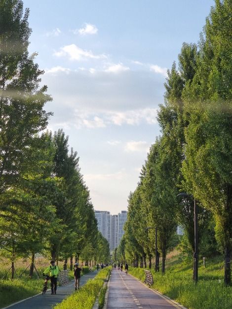 서울_[서울둘레길 8코스] 장지·탄천코스 (12)