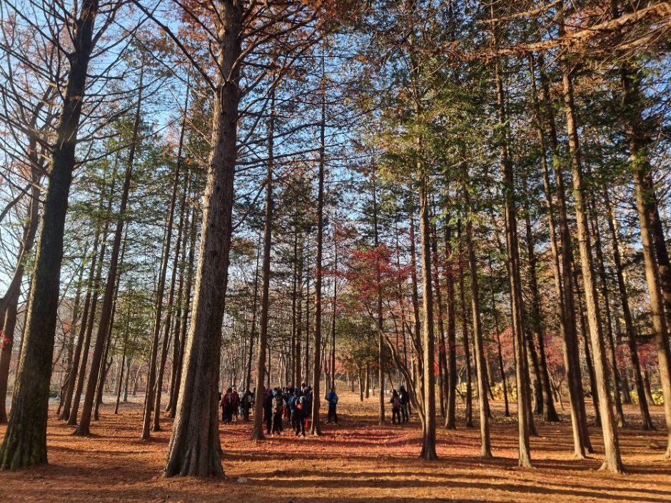 [서울둘레길 10코스] 우면산코스