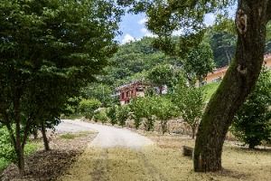 영주_진월사(영주) (6)
