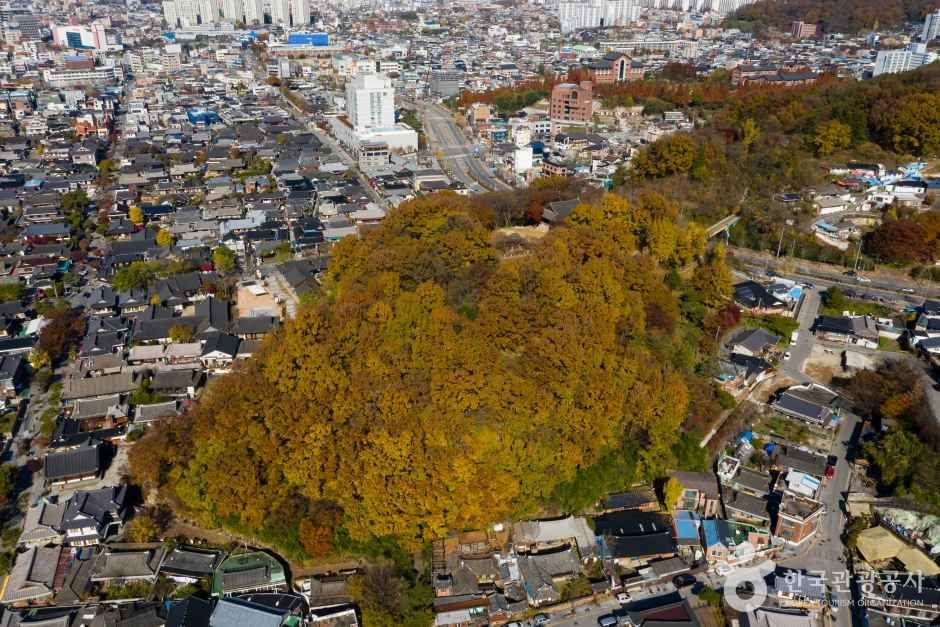오목대와 이목대