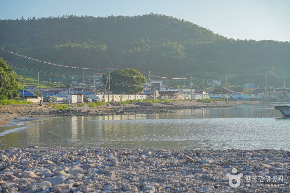 진도_접도 (2)