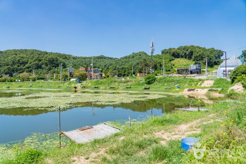 어천저수지