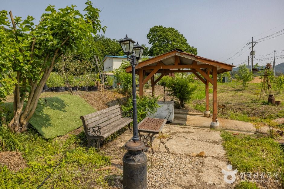 진천_안나의 화원 (36)