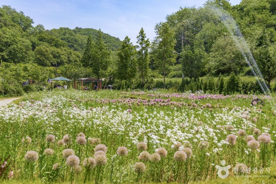 thumbnail-율곡수목원-1