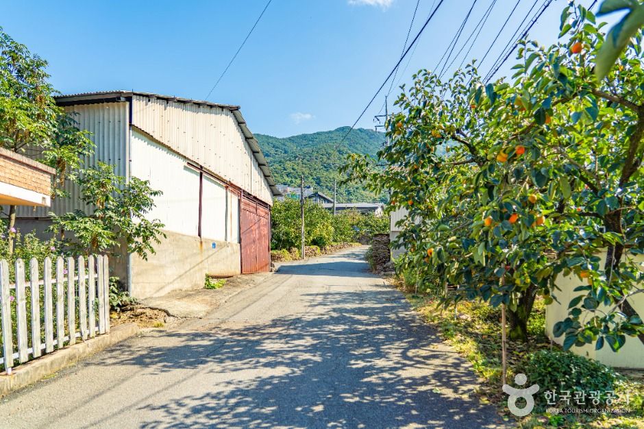 악양대봉감 정보화마을