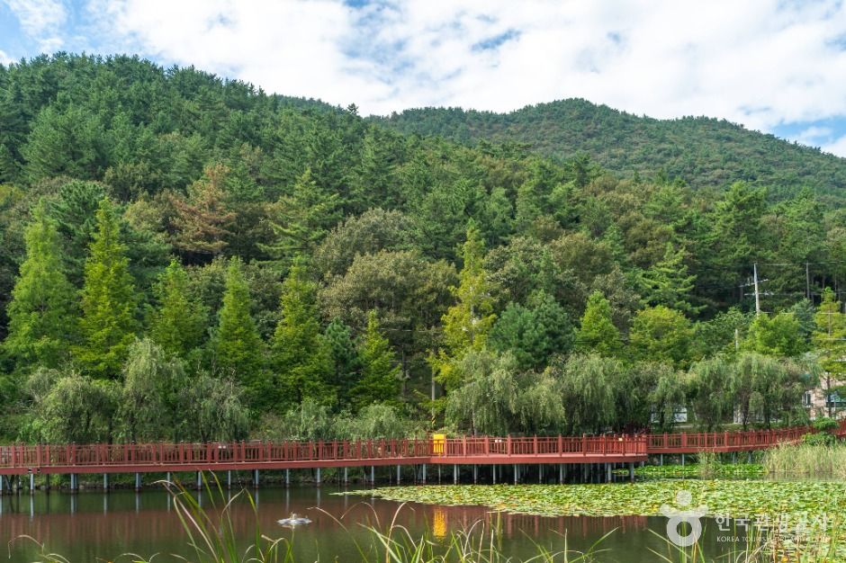 봉황산자연휴양림