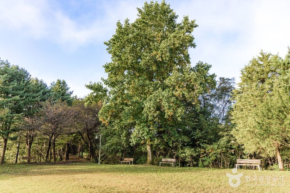 thumbnail-김화군민 망향탑-13