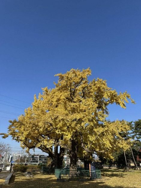 thumbnail-광주향교-4