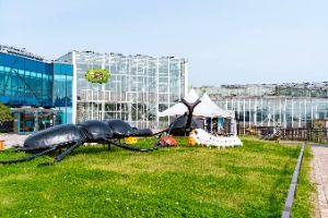 아산생태곤충원