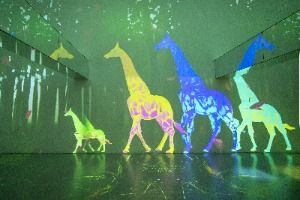 담양_소아르떼 (6)