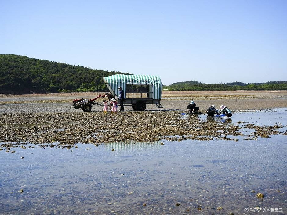 병술만어촌체험마을