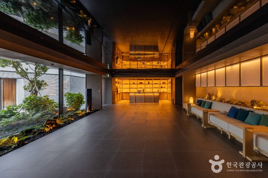 울릉_코스모스 울릉도 (9)