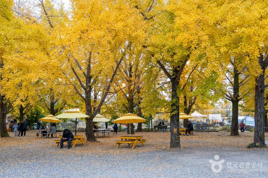 청라 은행마을 (보령)