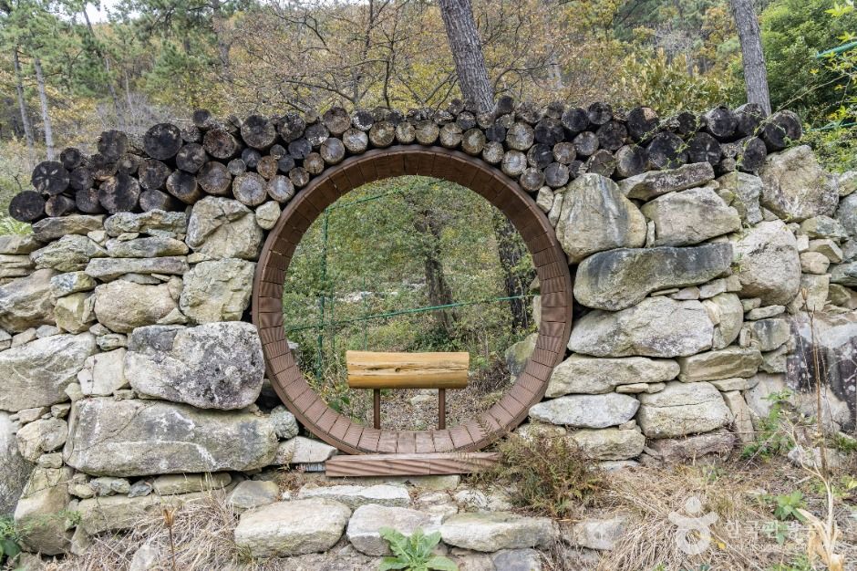 해남_포레스트 수목원 (15)