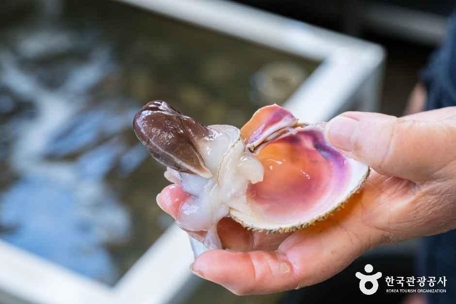 thumbnail-남당항-12