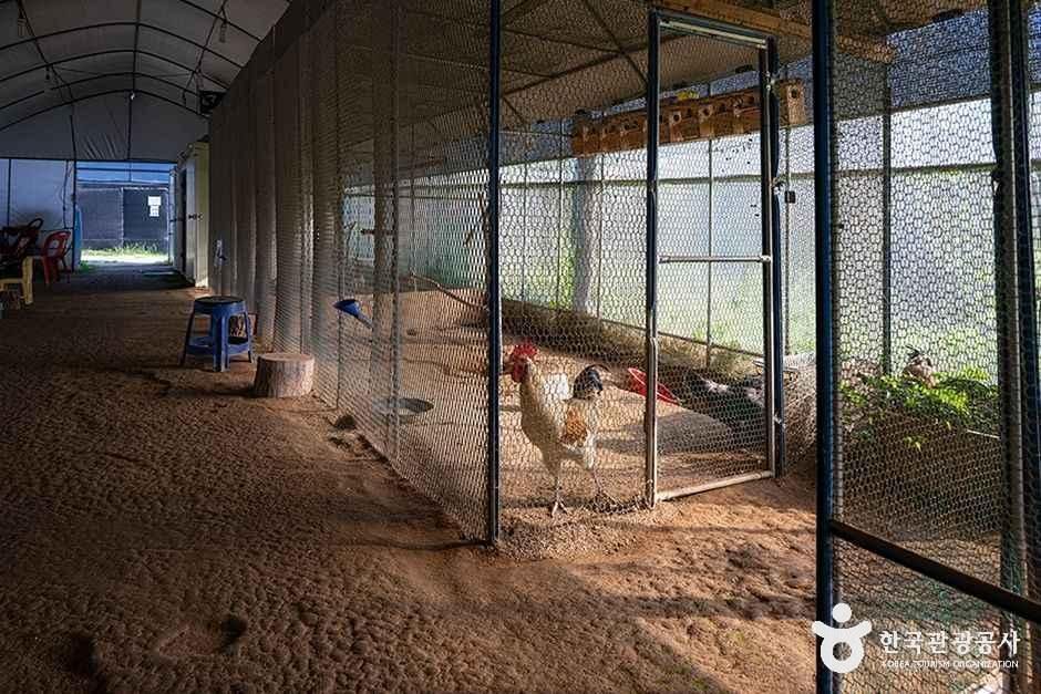 thumbnail-찬우물 체험동물농장-8