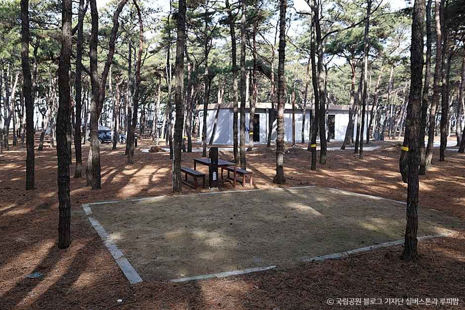 thumbnail-고사포야영장-5