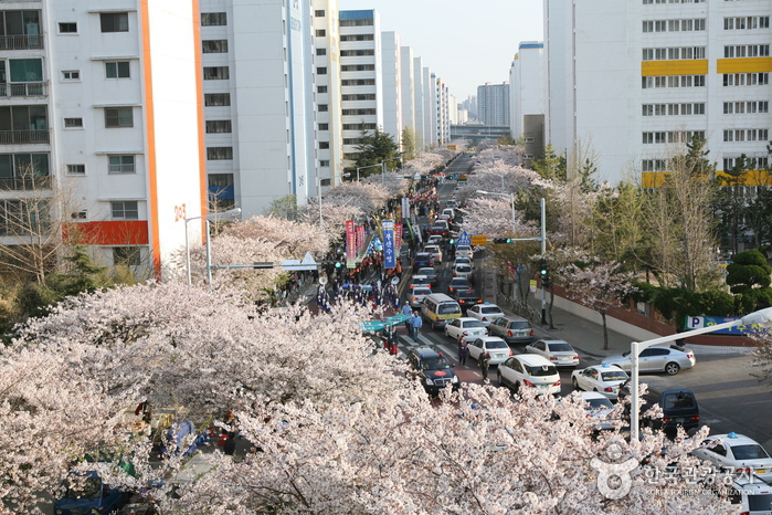 Gwangalli Eobang Festival (광안리 어방축제)