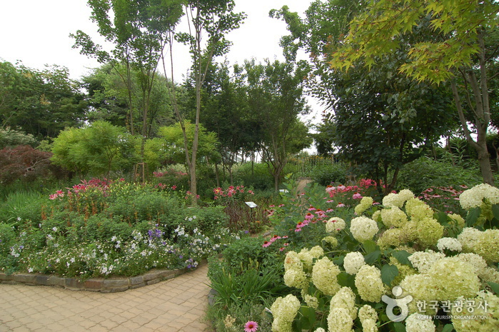Hantaek Botanical Garden (한택식물원)