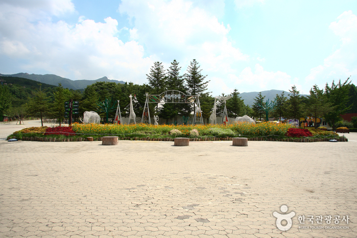 Seoul Grand Park (서울대공원-서울동물원)