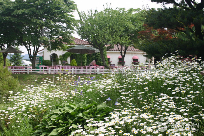 Ilyeong Herbland (일영허브랜드)