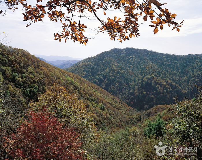 Odaesan National Park (오대산국립공원)