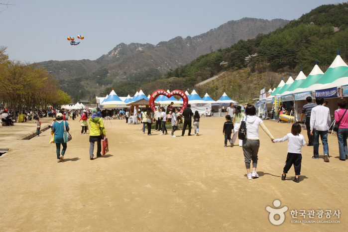 Mungyeong Traditional Chasabal Festival (문경 전통찻사발축제)