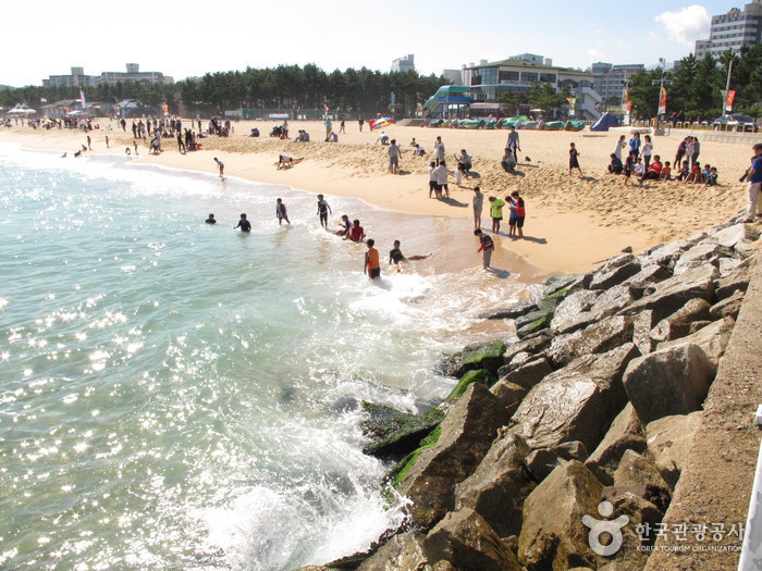 Sokcho Beach (속초해변)
