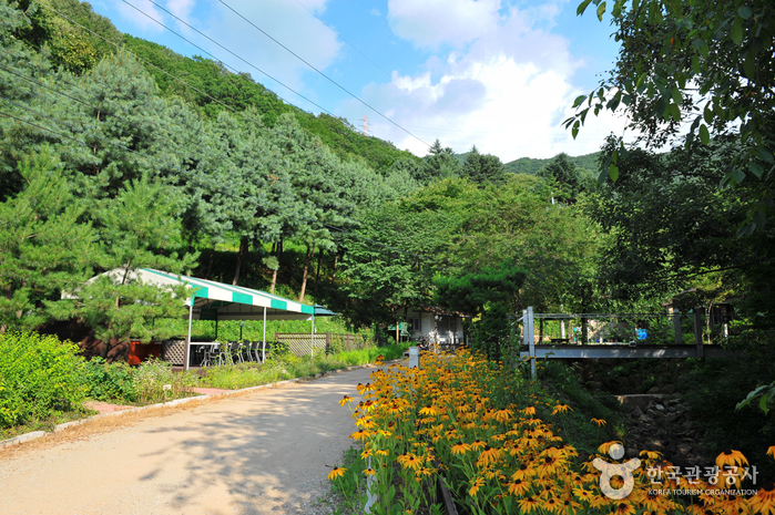 Bosque Recreativo de Cheongpyeong (청평자연휴양림)