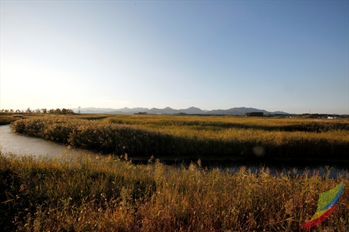 Julpo Ecological Park (줄포자연생태공원)