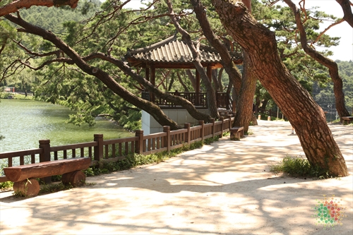 Uirimji Reservoir (제천 의림지와 제림)