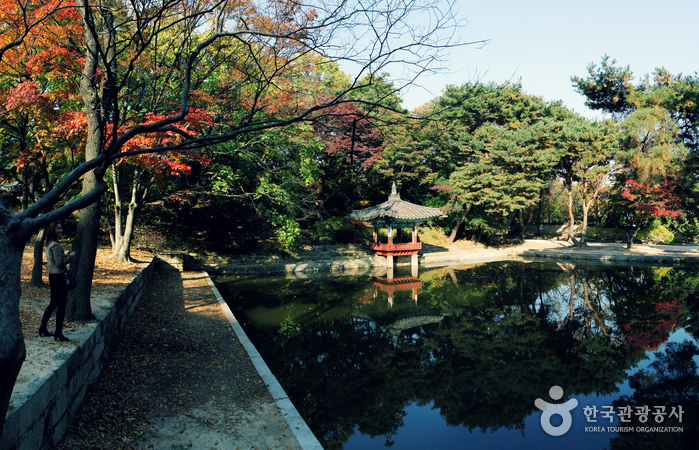 Jongno Cheonggye Special Tourist Zone (종로 청계 관광특구)