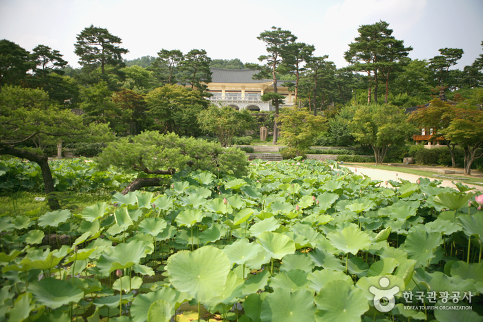 湖岩美術館（호암미술관）