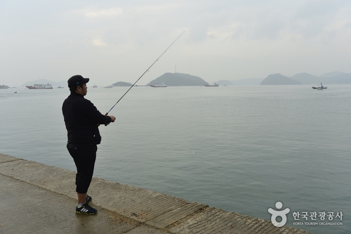 당진 도비도항3