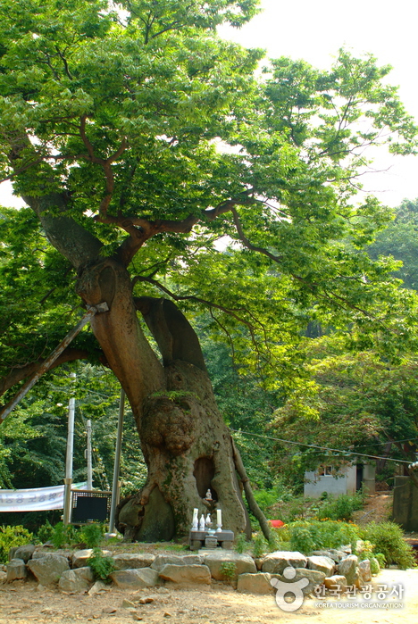Yonggungsa Temple (Incheon) (용궁사 - 인천)