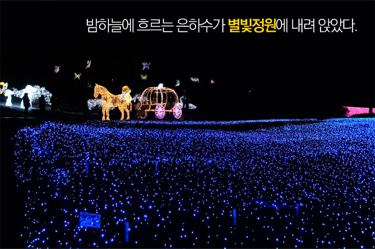 밤하늘에 흐르는 은하수가 별빛 정원에 내려 앉았다.