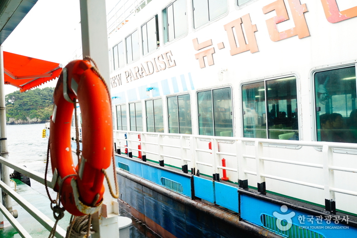 Crucero New Paradise de Seogwipo (서귀포유람선 뉴파라다이스호)11