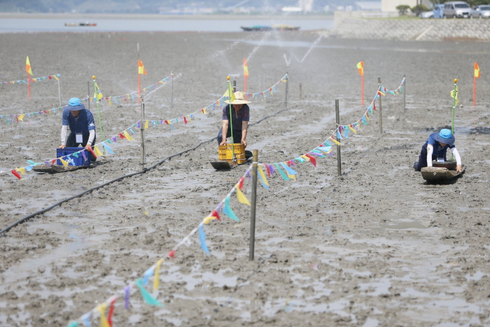 벌교갯벌레저뻘배대회 20183