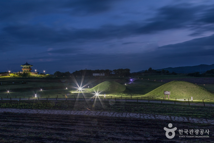 의성 금성산 고분군1