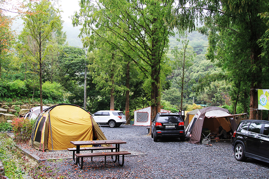 장태산 자연휴양림 캠핑장